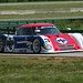Shane Lewis Photo 30