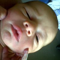 Laurie Holbrook Photo 18