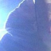 Jason Whitman Photo 45