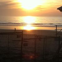 Rebecca Qualls Photo 10