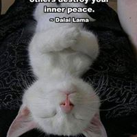 Brenda Kline Photo 30