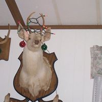 Don Dockery Photo 2