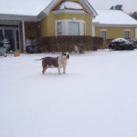 Christina Riojas Photo 14