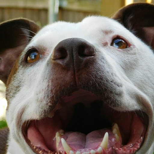 Catherine Gill Photo 24