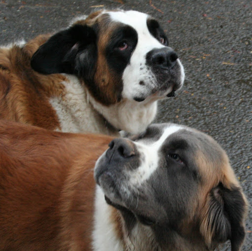 Cheryl Wilson Photo 9