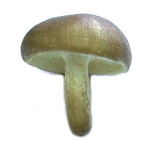 Ben Robbins Photo 36 Ben Robbins Photo 36