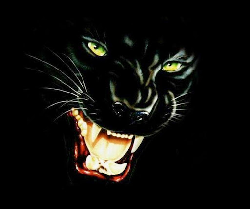 Curtis Bush Photo 23