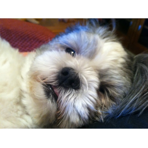 Linda Vance Photo 29