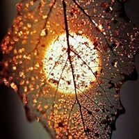 Barbara Jacobs Photo 13 Barbara Jacobs Photo 13