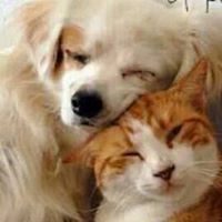 Cheryl Lehman Photo 16