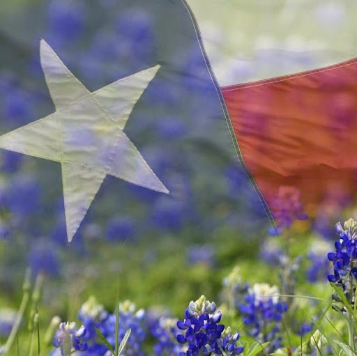 Susan Zimmerman Photo 44