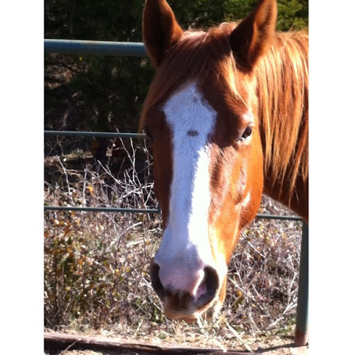 Debra Lieberman Photo 18