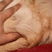 Kelly Shepard Photo 8