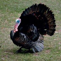 Colleen Cunningham Photo 12