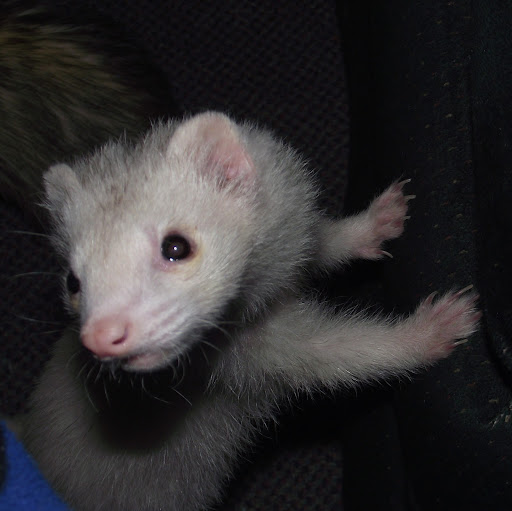 Becky Moffitt Photo 19