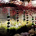 Janet Winters Photo 16