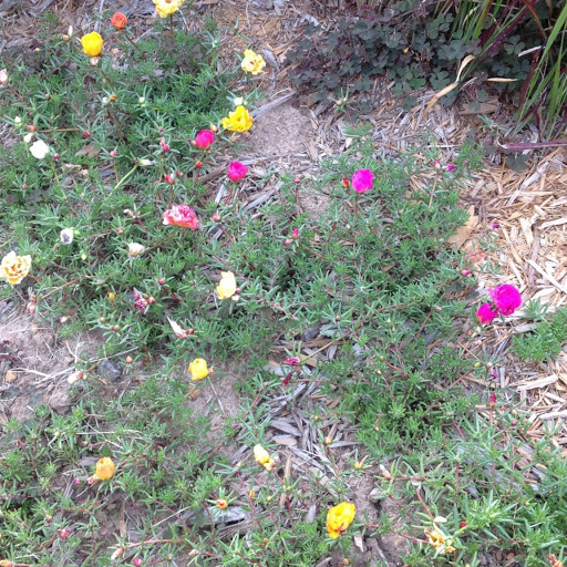 Sharon Fleck Photo 28