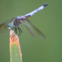 Bill Madison Photo 11