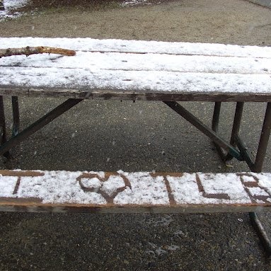 Tracy Boggs Photo 3