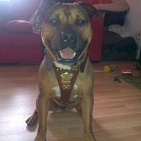 Dean Sharpe Photo 18