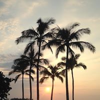 Annette Hatch Photo 4