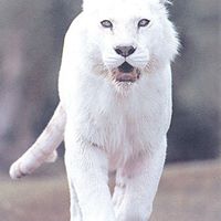 Tracy Brant Photo 15