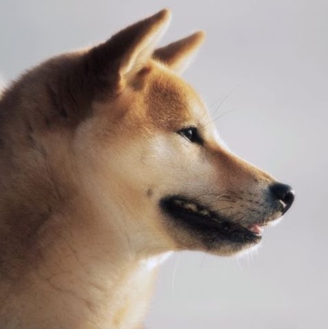 Julian Hunt Photo 22