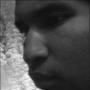 Joseph Palmer Photo 24