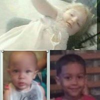 David Zak Photo 36 David Zak Photo 36