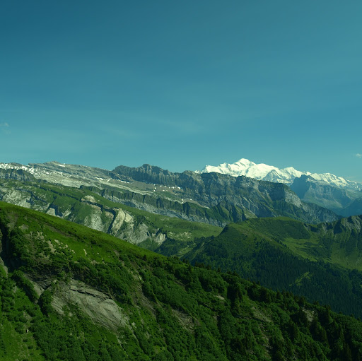 Richard Hedges Photo 17