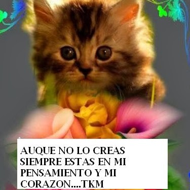 Cecilia Gonzales Photo 12