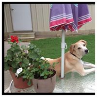 Cathy Singleton Photo 15