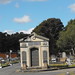 Henry Storey Photo 7
