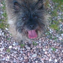 Tracey Watkins Photo 36