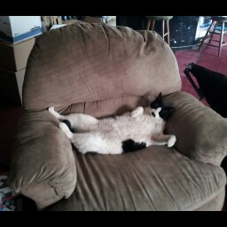 Debbie Poole Photo 11