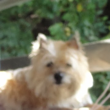 Elizabeth Story Photo 9