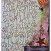 Nancy Sheets Photo 26