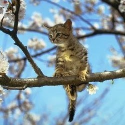 Jacob Warren Photo 38