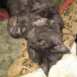 Jonathan Funk Photo 32