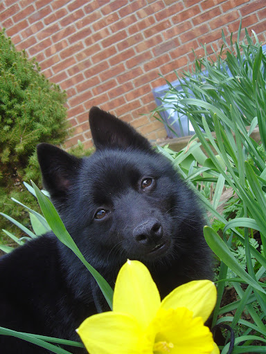 Debra Cohen Photo 44