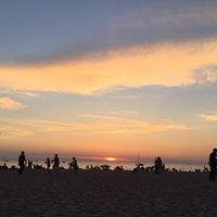 Debra Livingston Photo 24