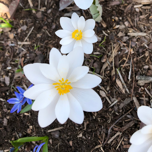 Julie O'Keefe Photo 11