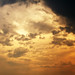 Timothy Storms Photo 14