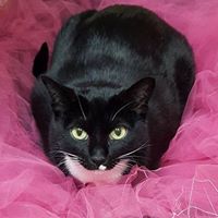 Vikki Matthews Photo 2