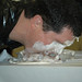 Christopher Dugger Photo 5