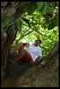 David Scherer Photo 8