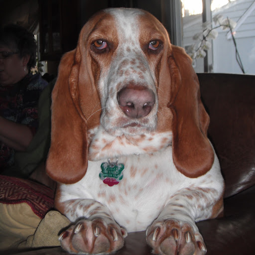 Beth Vogel Photo 15