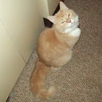 Steven Wilber Photo 25