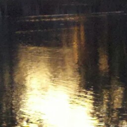 Silvia Miller Photo 7