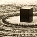 Sana Ahmed Photo 33